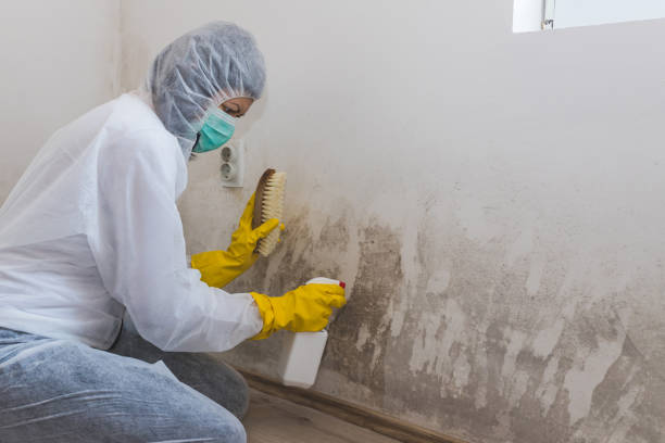 Best Industrial Mold Remediation  in Dunn, NC